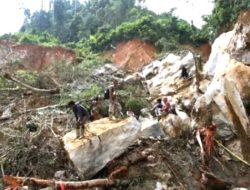 Longsor Tambang Ilegal Solok, 15 Meninggal Dunia