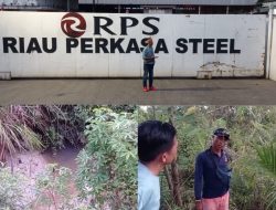 Warga Keluhkan Lahan Sawit Rusak Diduga Akibat Limbah Pabrik PT. RPS Siak Hulu