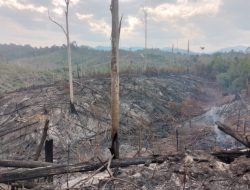 Ketua APTMR : Segera Kami Laporkan ke APH Terkait Dugaan Jual Beli Hutan Desa Pemandang Rohul