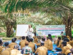 PTPN IV Rangkul 1.584 Petani Mitra Perkuat Perkebunan Berkelanjutan Standar Internasional RSPO