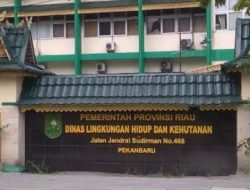 Dua Pejabat DLHK Riau Bungkam Usai Diperiksa Kejati Terkait Alih Fungsi Hutan