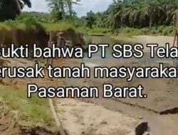 Minta Kejati Sumatra Barat Periksa Dinas Lingkungan Hidup Untuk Periksa.Terkait Pelanggaran dari PT SBS Pasaman Barat